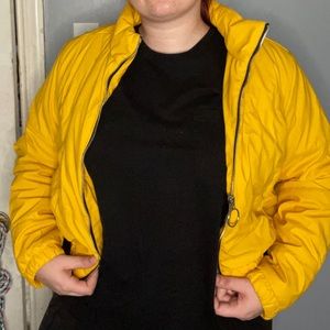 Wild fable yellow cropped puffer